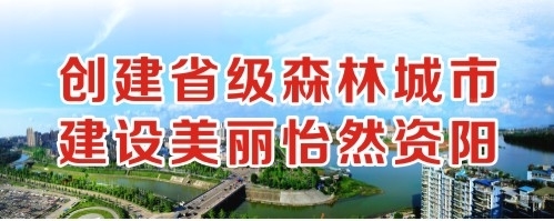 亚洲国产精品视频一区二区三区创建省级森林城市 建设美丽怡然资阳