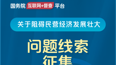 女小穴视频国务院“互联网+督查”平台公开征集阻碍民营经济发展壮大问题线索